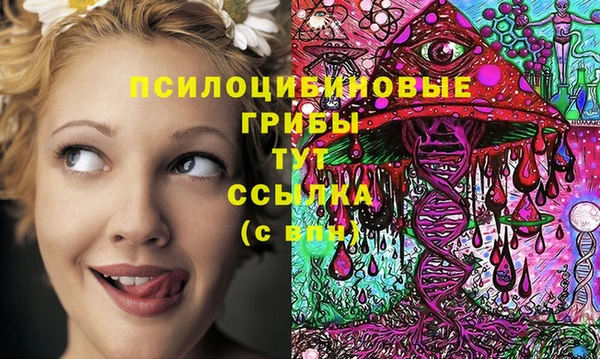 спиды Алексин
